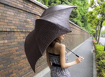 81rtOccXyOL._AC_UF350,