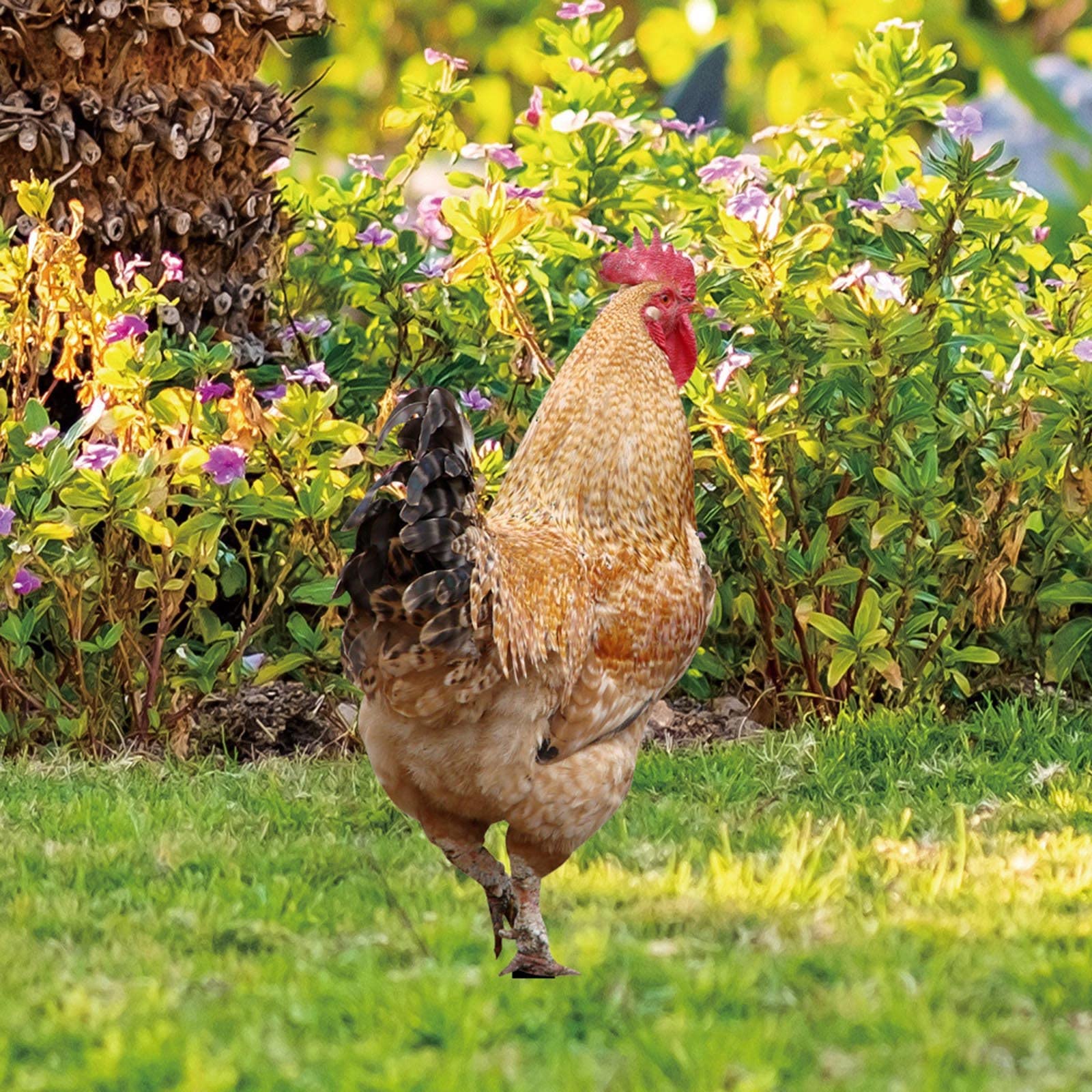 5 Stück Lebensechte Hühner-Gartendekoration Aus Kunststoff – Mit Steckpfahl, Für Garten & Beet