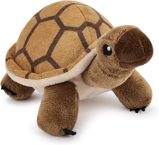 Buc-ee's Plush Tortoise Toy - Soft Cuddly Animal for Kids (5-6")