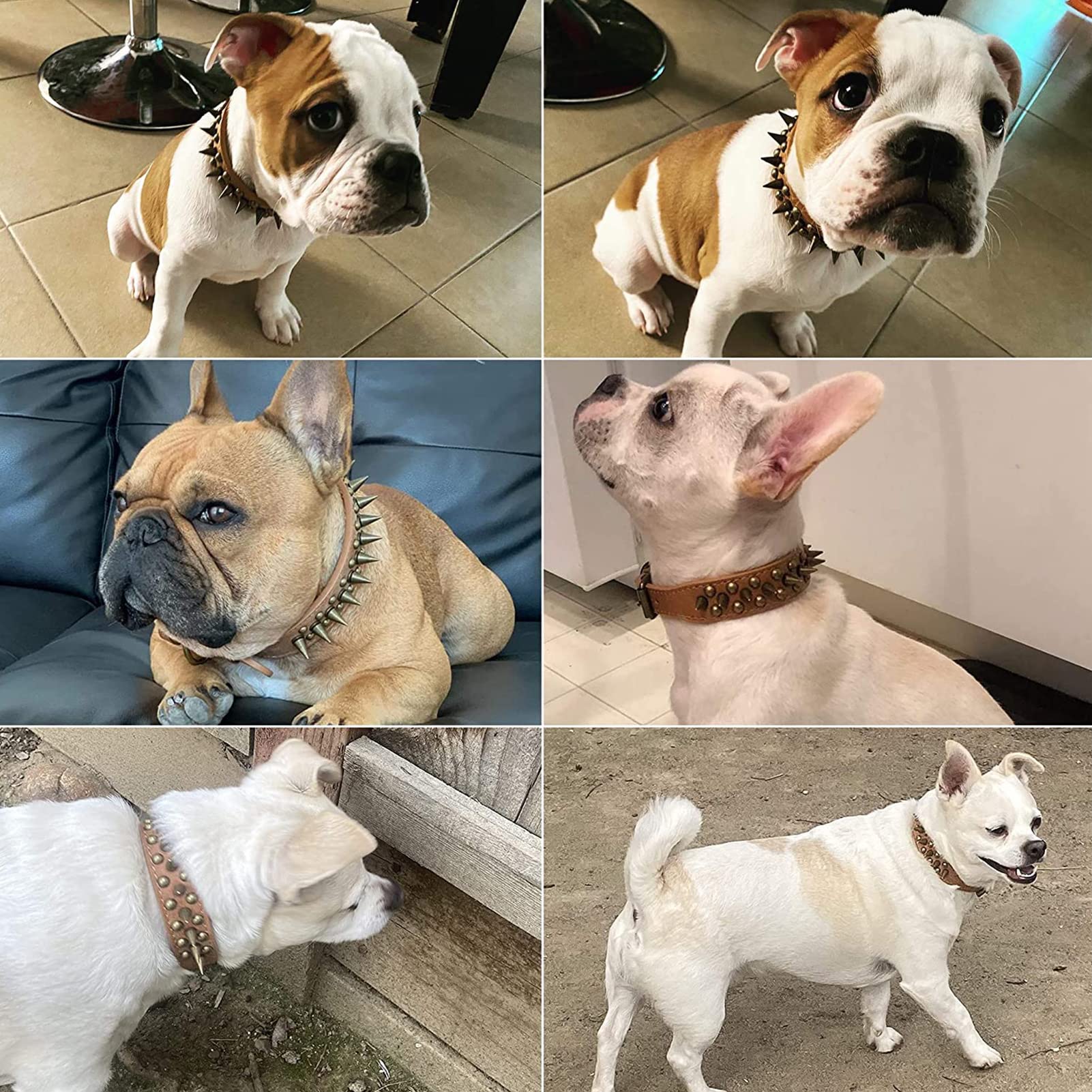 Rindsleder Halsband Für Hunde & Katzen, Verstellbar Mit Nieten – Gr. XL, Braun | Robust & Klassisch
