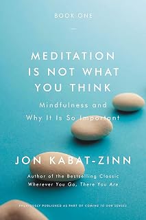 Meditation Is Not What You Think: Mindfulness and Why It Is So Important
