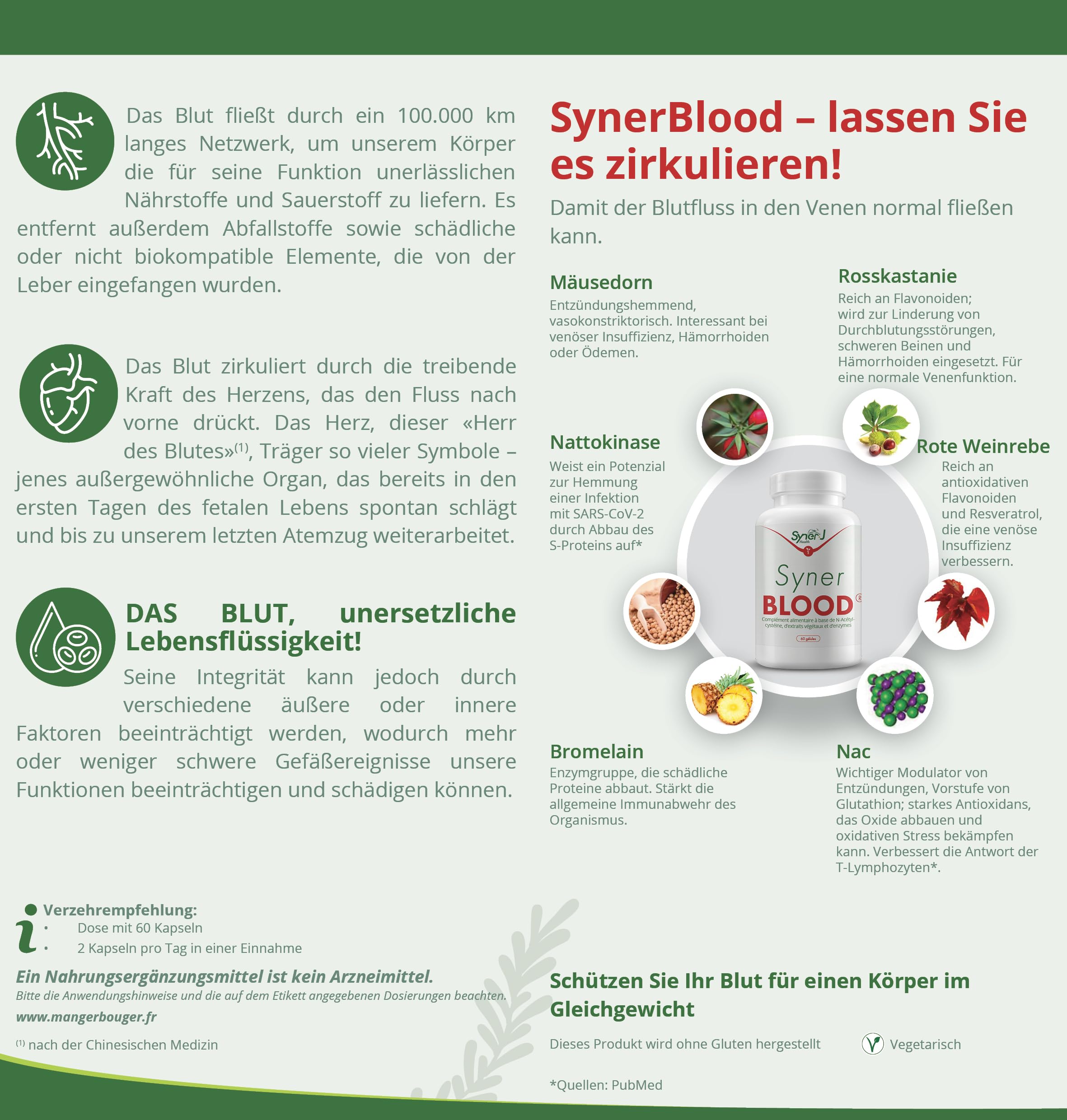 SynerBLOOD | Complément Circulatoire Naturel | NAC, Vigne Rouge, Petit Houx, Marron d’Inde, Nattokinase, Bromélaïne | 60 Gélules | 1 Mois | SynerJ Health