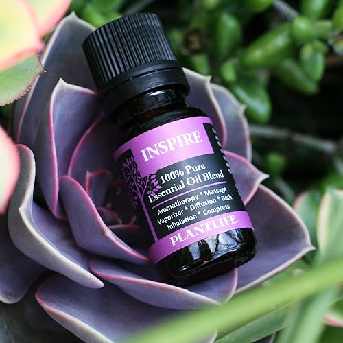 Miniatura 25 de Plantlife Grounded Aromatherapy Essential Oil Blend - Straight from The Plant 100% Pure Therapeutic Grade - No Additives or Fillers - Made in