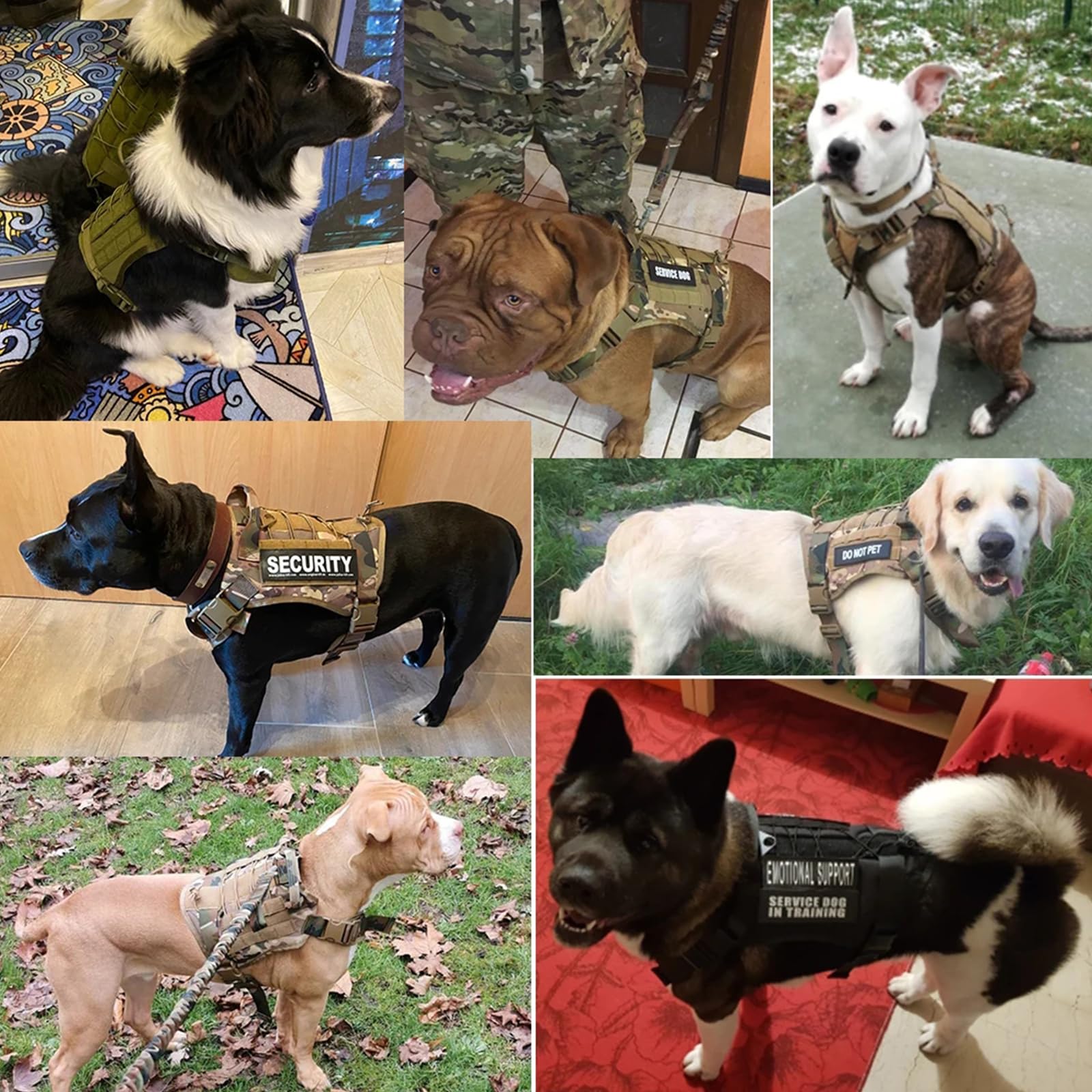 Arnes Perro Antitirones, Arnés Táctico para Perros Pequeño Medianos Y Grandes con Anillo Anti-Tirón Y Sistema Molle Chaleco Acolchado Ajustable para Adiesreamiento Correr,Negro,Medium