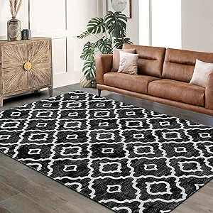 GlowSol Area Rug 5x7 Washable Rug Large Modern Trellis Rug Geometric Neutral Soft Black Rug for Living Room Bedroom Dining Room Non Slip Stain-Resistant Carpet for Home Decor