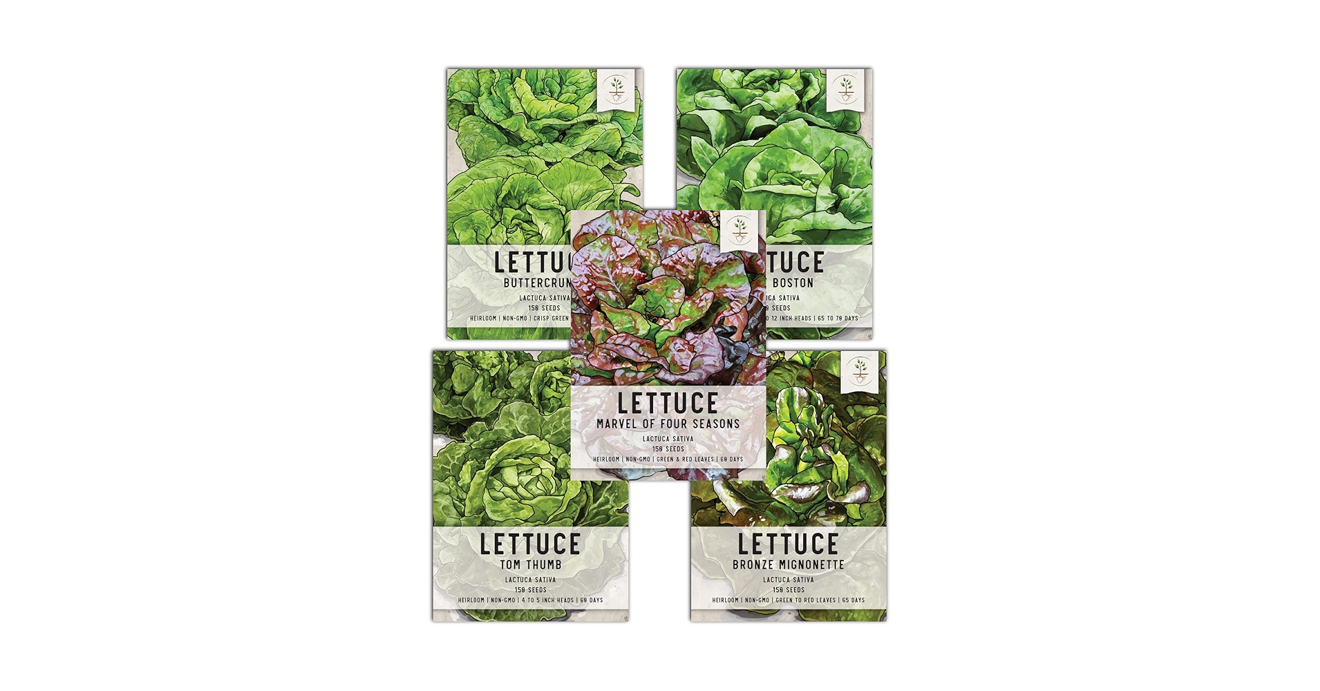 Lettuce Brighton (Winter Butterhead) U2013 Seeds | Garden