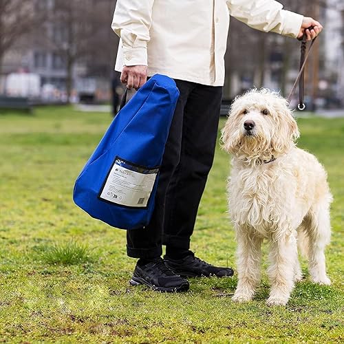 Miniatura 7 de Juego de equipo de agilidad para perros, cono y poste para entrenamiento y saltos de ejercicio, curso de plástico para principiantes de agilidad