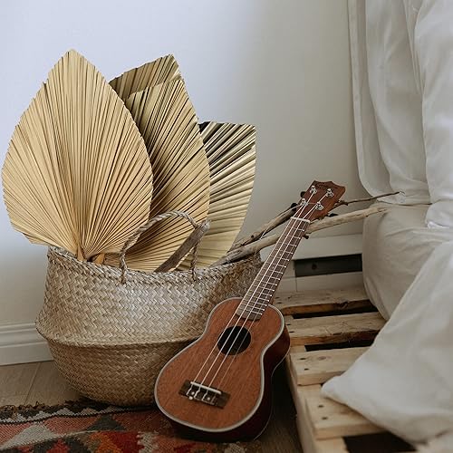 Vista 3 de Sggvecsy Paquete de 4 abanicos de hojas de palma secas naturales de 16 pulgadas para decoración bohemia de boda, hogar, fiesta, cocina, jarrón