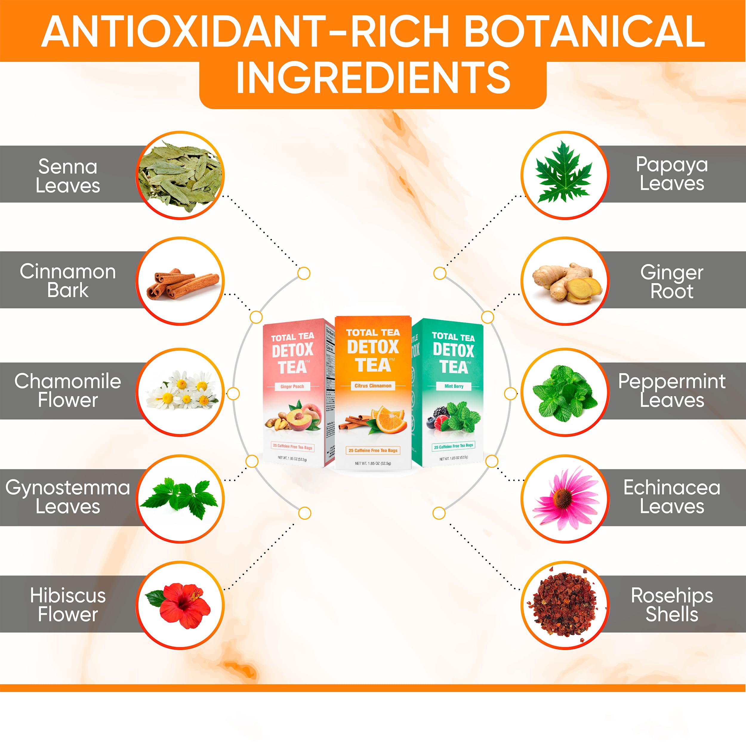 Amazon.com : Total Tea Detox Tea 3 Flavors Set - Citrus, Mint