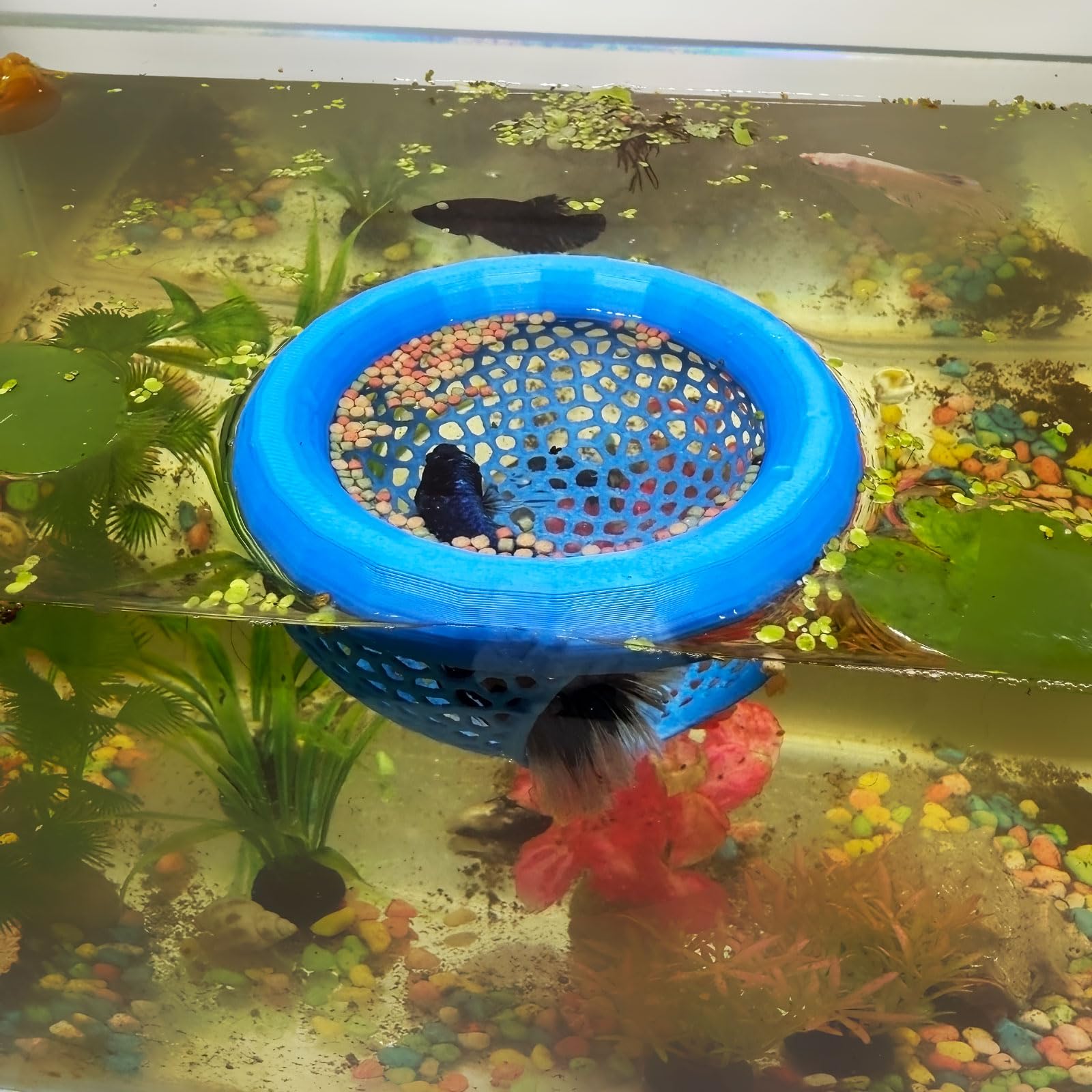 Aquarium Floating Betta Fish Skins, Betta or Shrimp Feeder, Cave and Hammock, Small Fish Feeding Rings, Aquarium Hiding Feeding Decorative Accessories (Blue)