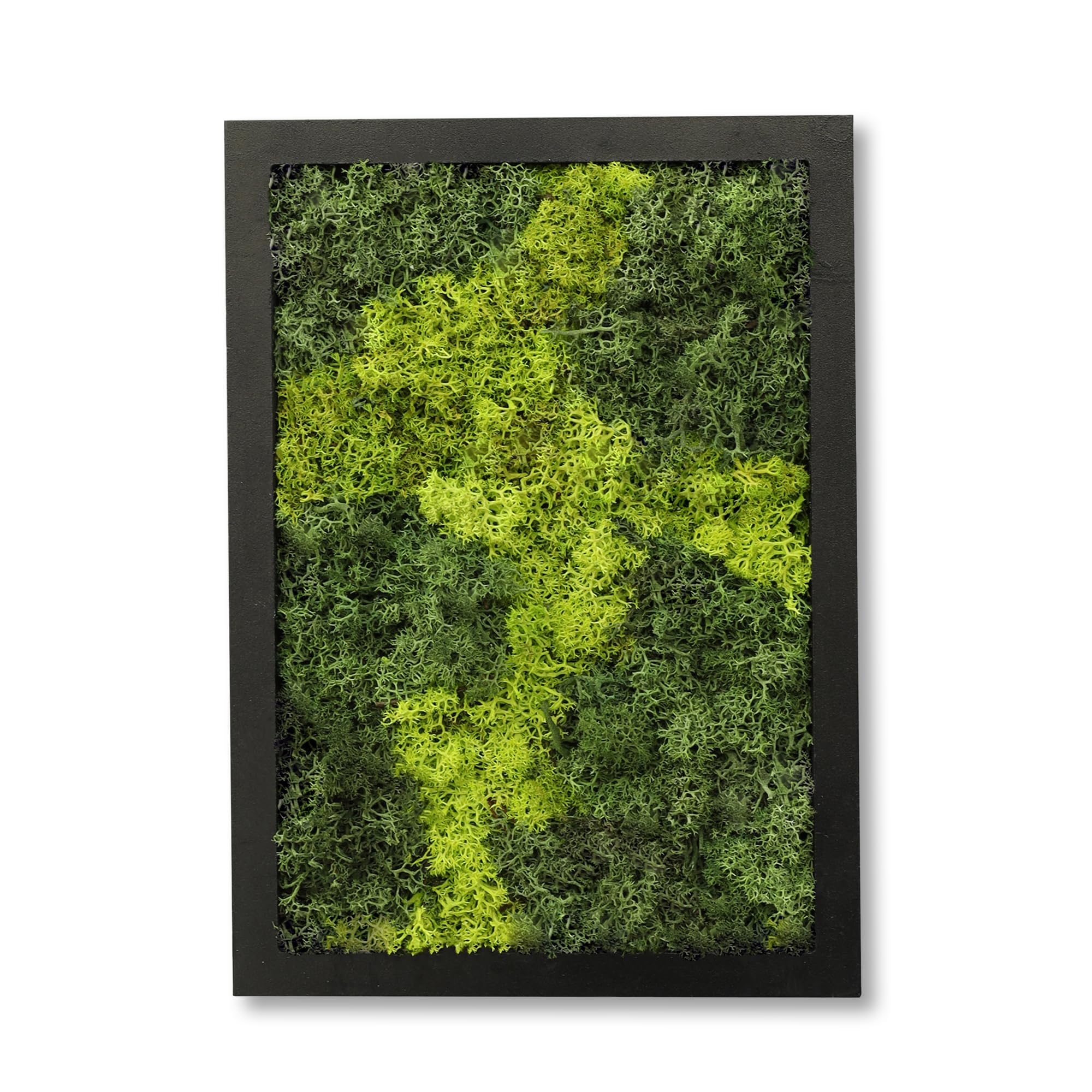 comforder Rectangular Real Moss Wall Art Picture 6.7x 9.4”/ 17x24cm, Preserved Moss Wall Art with Wooden Frame, Natural Wall Décor for the Living Room