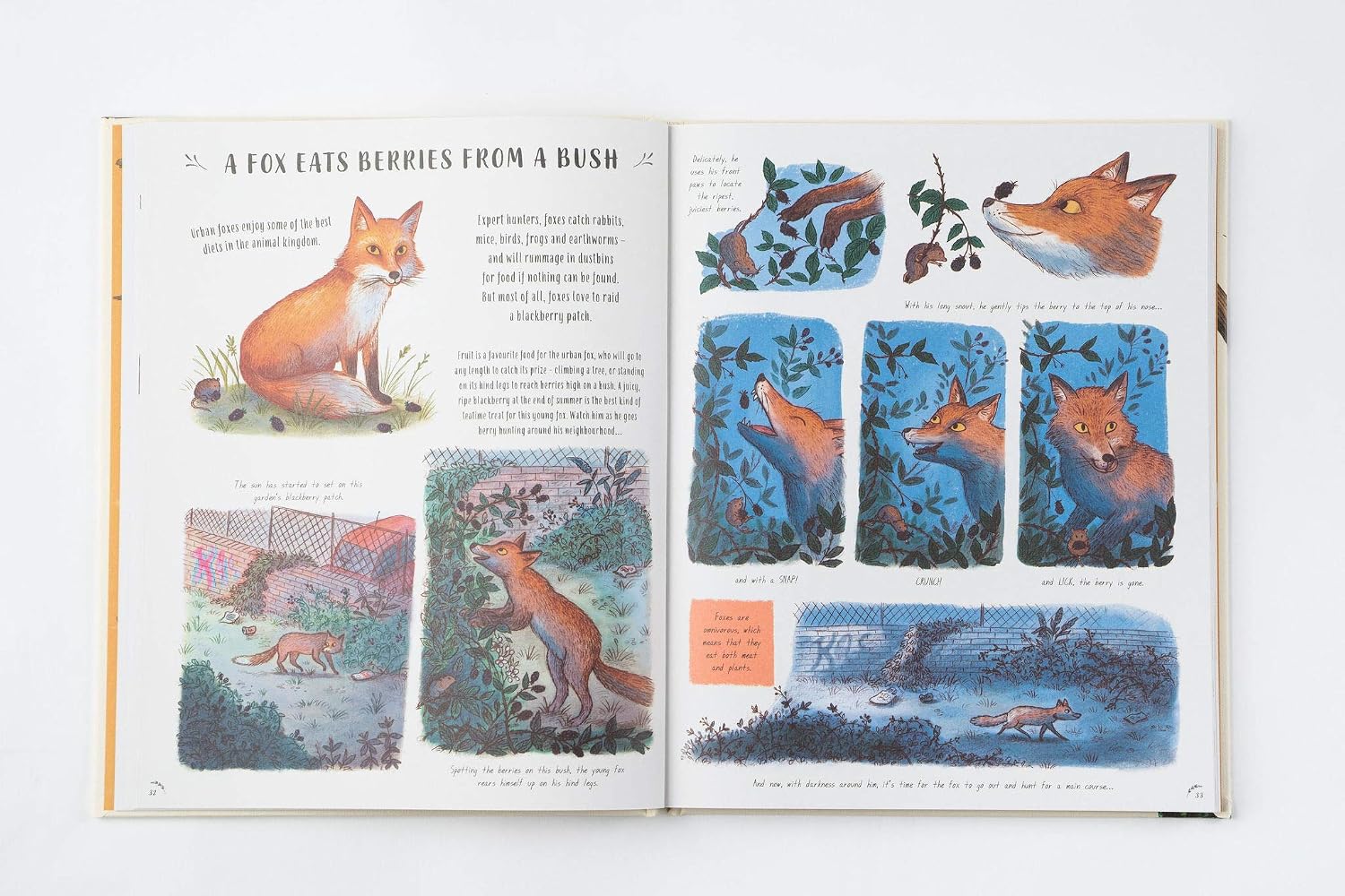 Slow Down: 50 Mindful Moments in Nature