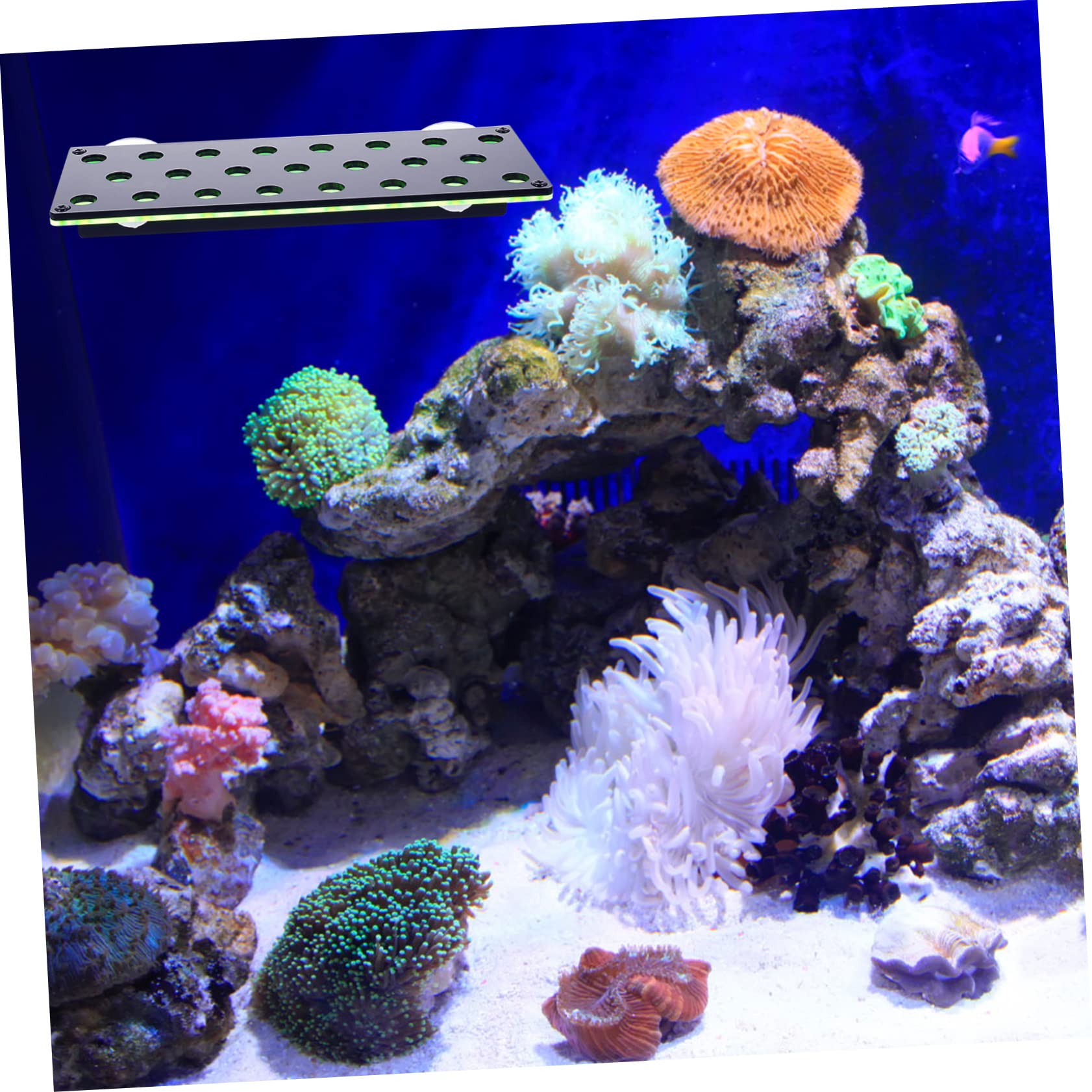 Amazon.co.jp: UKCOCO 2 サンゴ サポート フラグ ラック サンゴ フラグ