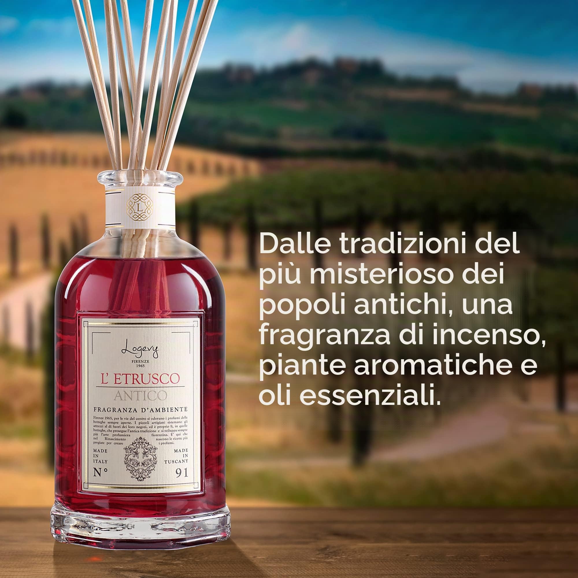 LOGEVY - Profumatore per Ambienti per il Benessere della Persona e della Casa - L'Etrusco Antico (250 ml NEW 2022)