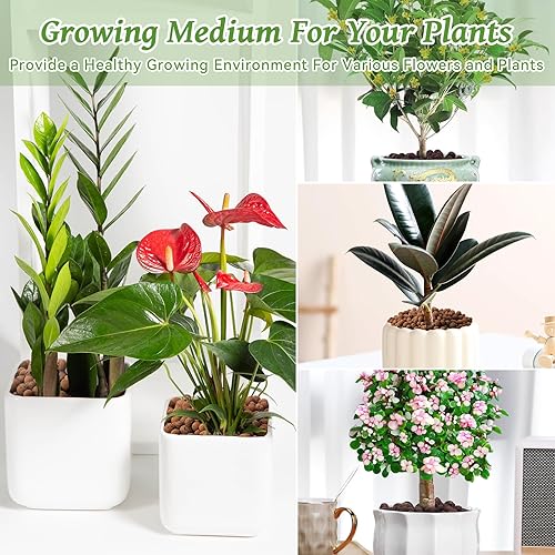 Miniatura 19 de Riare Guijarros de arcilla expandida orgánica de 14 libras para plantas, bolas de leca natural de 0.157 a 0.630 pulgadas, ligeras piedras