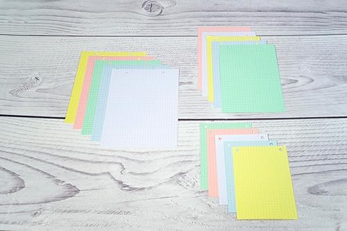 Exacompta 10653E Karteikarten, kariert, 5x5, perforiert, foliert, für Tintenstra