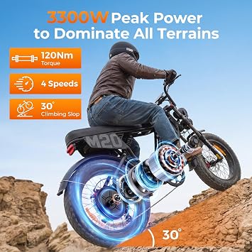 ENGWE M20 3.0 Off-Road Electric Bike for Adults