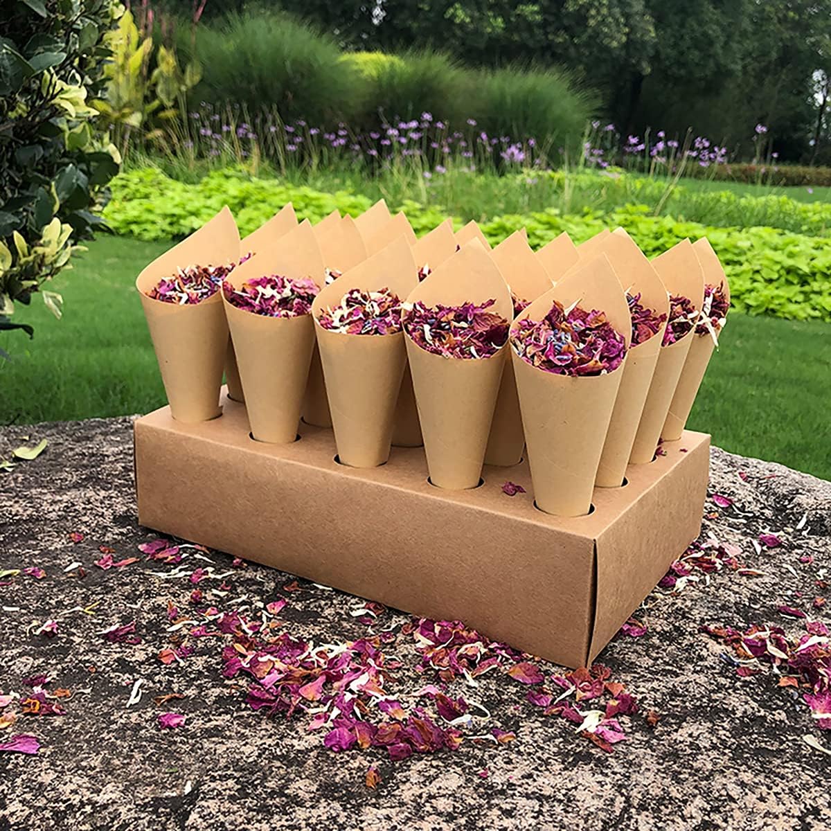 Natural Wedding Confetti Set Include 1 Pcs Cone Stand Box Tray with 20 Holes, 1 Bag Natural Biodegradable Confetti for 20 Cones, 1 Small Bag Natural Lavender, 1 Roll Tape and 20 Pcs Cones