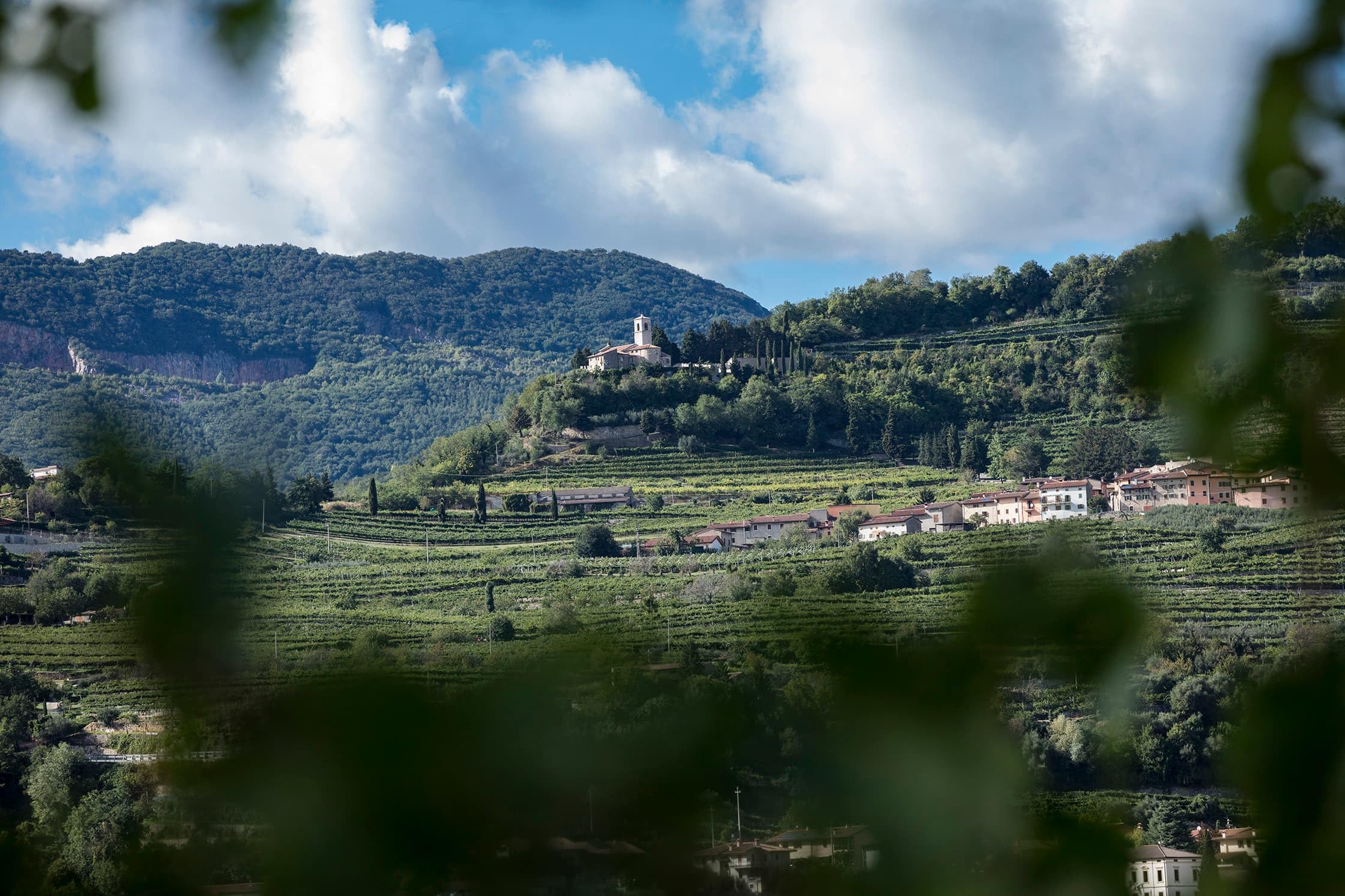 Santi Solane Valpolicella Ripasso Classico Superiore Denominazione di  Origine Controllata Wine Dry (1 x 0.75 L) : Amazon.de: Grocery