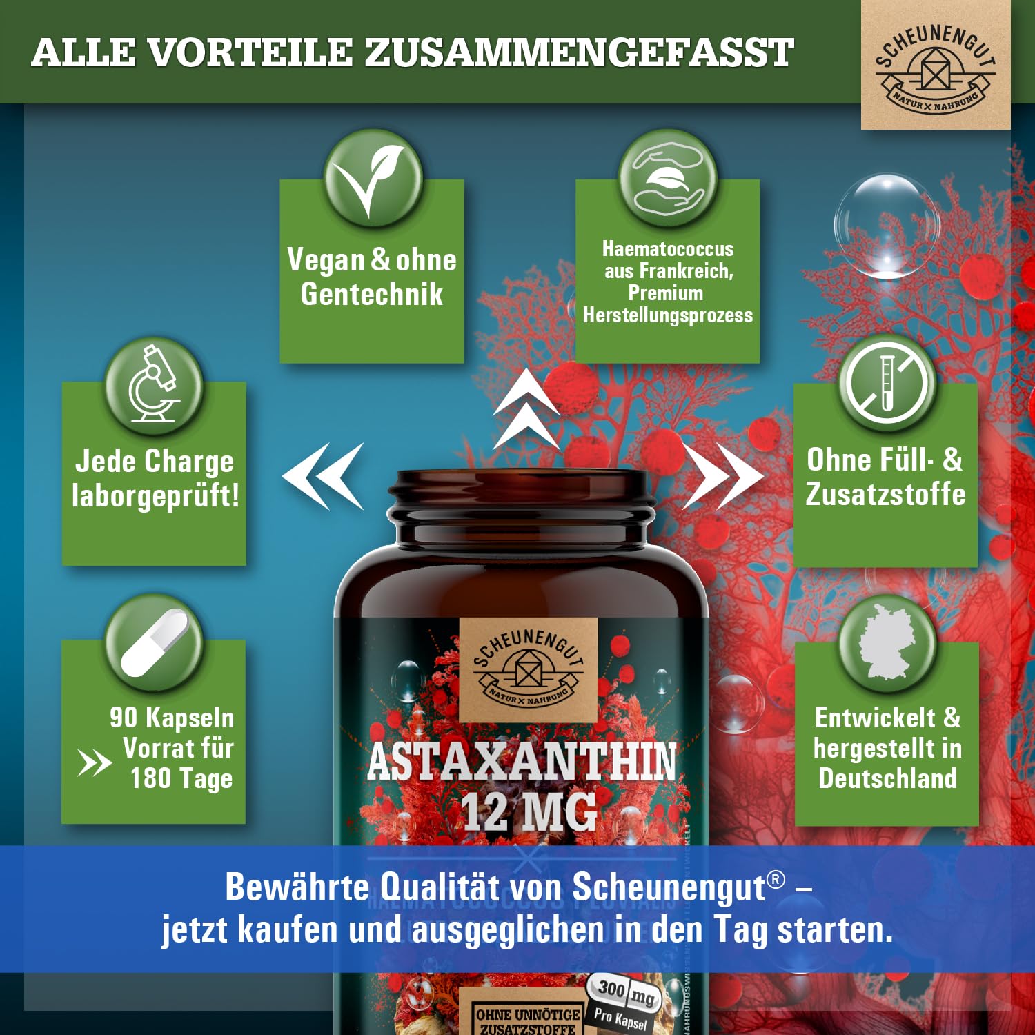 Astaxanthin 12mg -Direkt aus Frankreich- Oxidations-Schutz DE SCHEUNENGUT® | WICHTIG: Oxidationsfrei durch veresterte Struktur -keine China Ware- Zertifiziertes Astaxanthin hochdosiert 90Stk