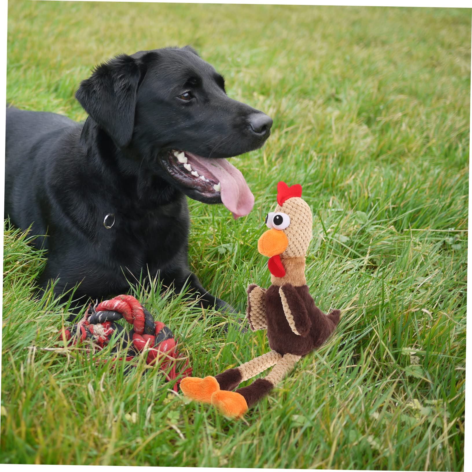 Toddmomy 2piezas Juguete Interactivo para Perros De De Peluche Juguete De Entrenamiento para Mascotas Reduce El Estrés Aburrimiento Resistente Mordidas y