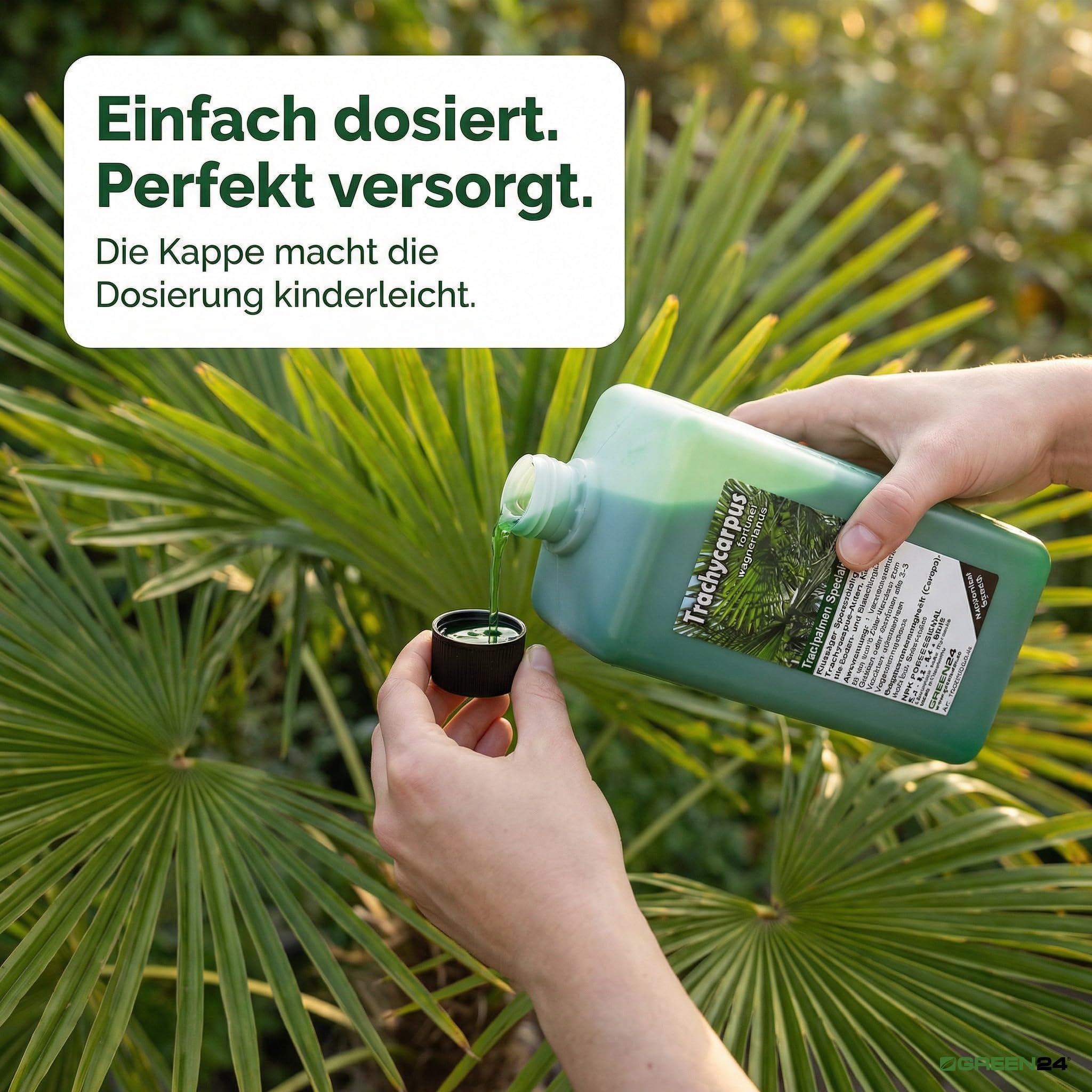 Trachycarpus Dünger XL 1 Liter für Hanfpalmen Tessinerpalmen Trachycarpus fortunei wagnerianus Palmen als Spezial Wurzeldünger + Blattdünger Profi Linie düngen