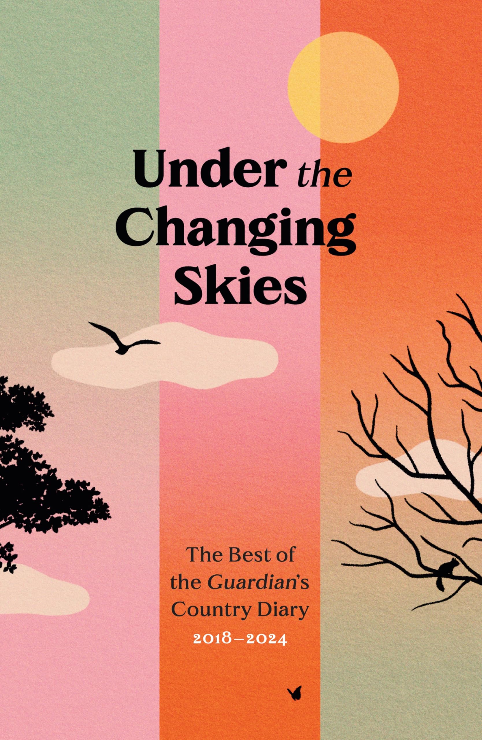 Under The Changing Skies