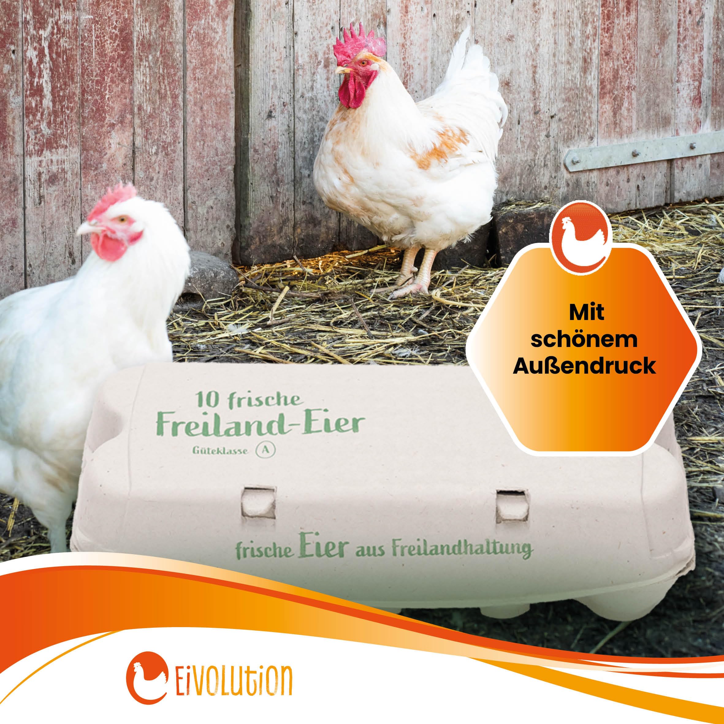 ComPac 10er Eierkarton | 130 Stück | Eierschachtel mit Aufdruck Frische Freiland-Eier für Hühnereier in den Größen S, M & L | Grau