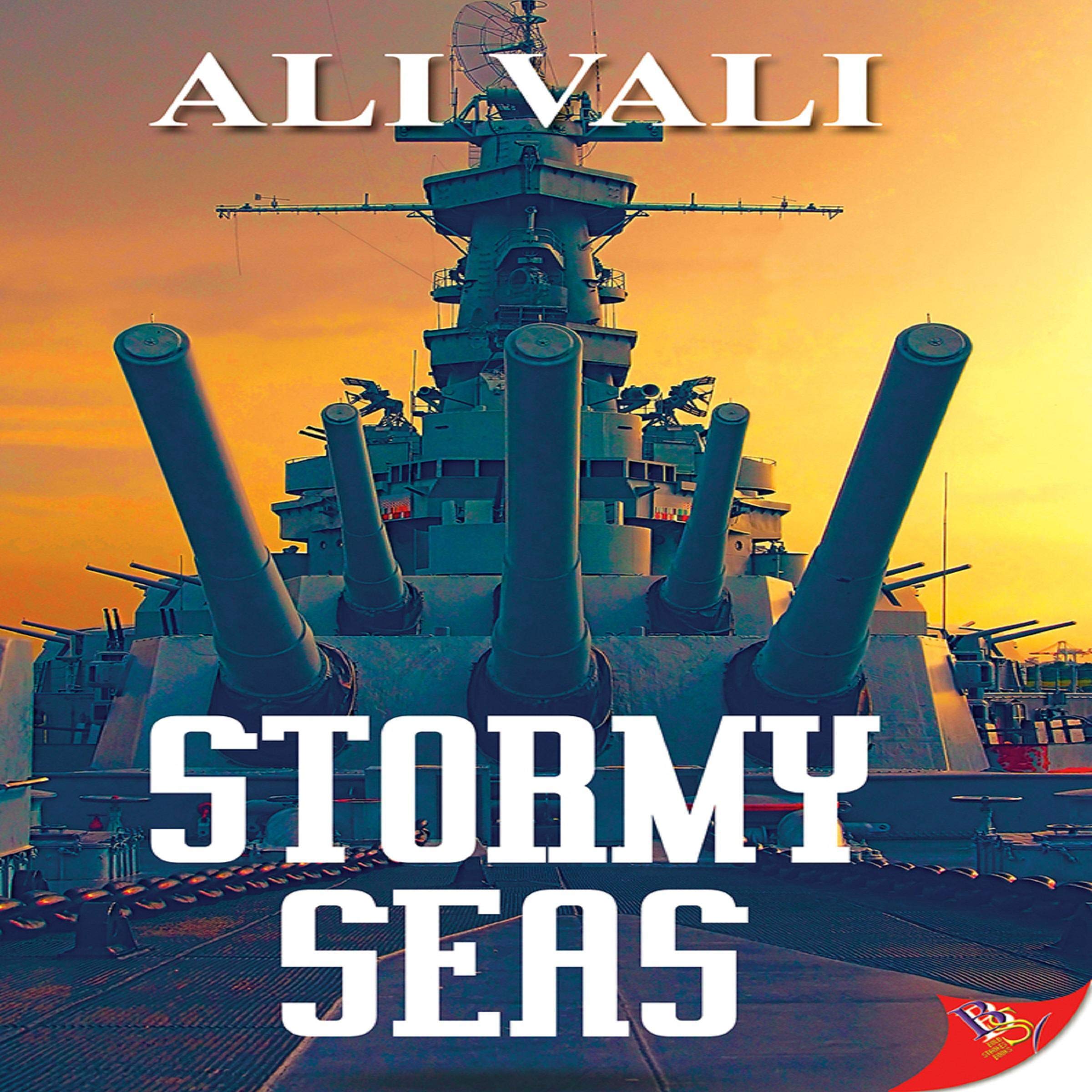 Cover art for Stormy Seas