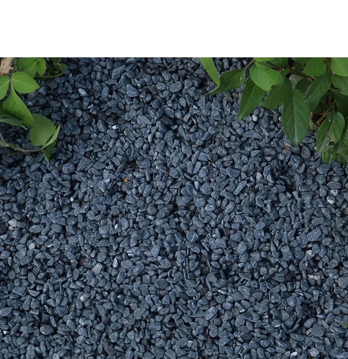KENBIR® Aquarium Gravel for Fish Tank, Garden Landscaping, Home Decor, Vase Yard Decor,1 to 3MM (1KG) (B0CCY9X38R) Amazon Price History, Amazon Price Tracker