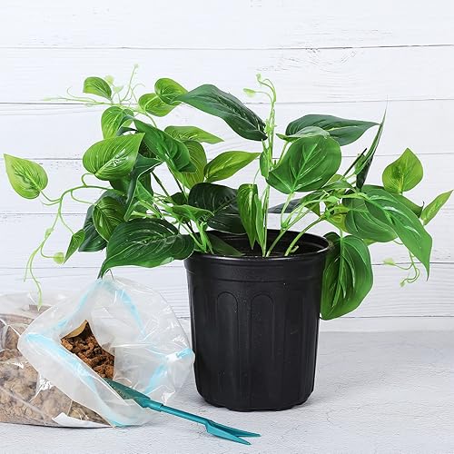 Miniatura 13 de JERIA Paquete de 100 macetas de 0.5 galones, macetas de plástico para plántulas de flores, contenedor de plantas de flores, maceta de inicio