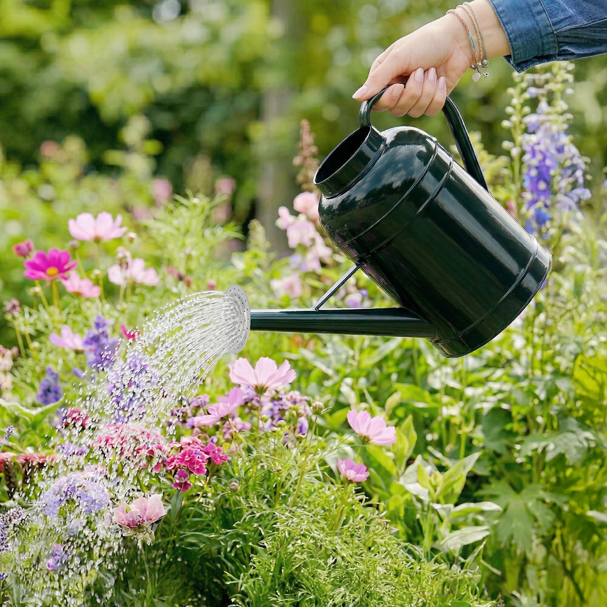Arrosoir en métal galvanisé de 8,7 l pour plantes d'extérieur avec long bec amovible doré