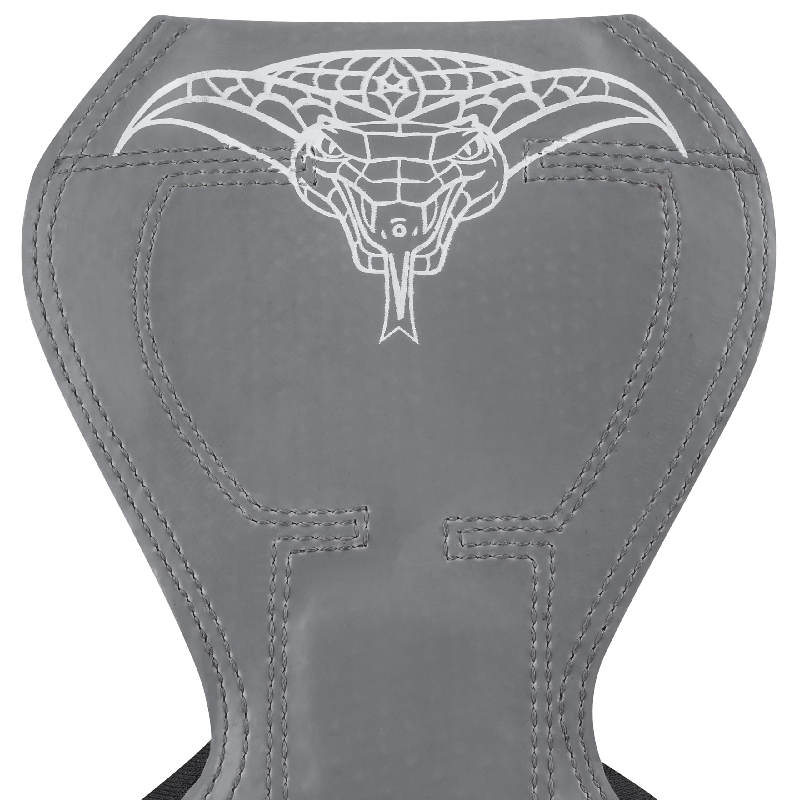 Cobra Grips PRO V2 Guanti per sollevamento pesi, cinghie resistenti, ganci alternativi per sollevamento pesi, ideali per stacchi da terra, regolabili, imbottiti, polsiere imbottite in neoprene,