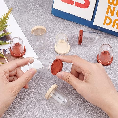 Miniatura 3 de NBEADS 10 juegos de mini cúpula de cristal de flor eterna, vitrina de vidrio transparente con 2 colores base de madera para el día de San Valentín,