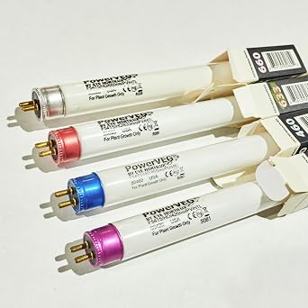 مجموعة Hortilux Eye Lighting International PowerVEG T5 4 متعددة الألوان - مجموعة متنوعة من مصابيح الفلورسنت لنمو النباتات الخضرية والمزهرة، مجموعة من 24 مصباحًا