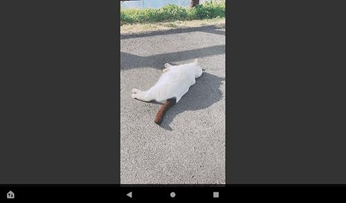 Player de Vídeo com Zoom