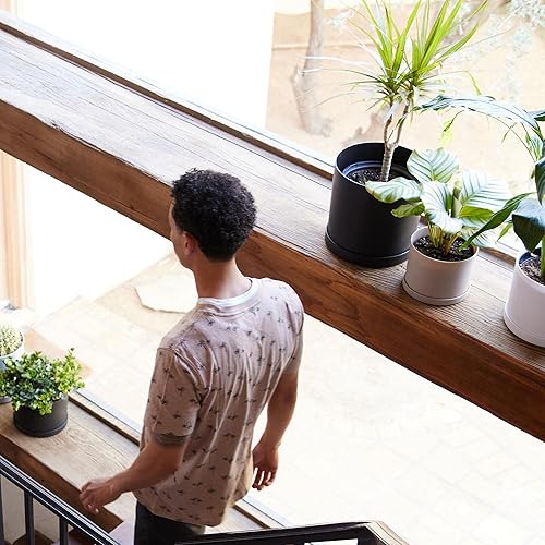 Miniatura 4 de Bloem Mathers - Maceta redonda con bandeja para platillo 10 pulgadas color negro diseño moderno maceta de plástico duradero platillo extraíble para