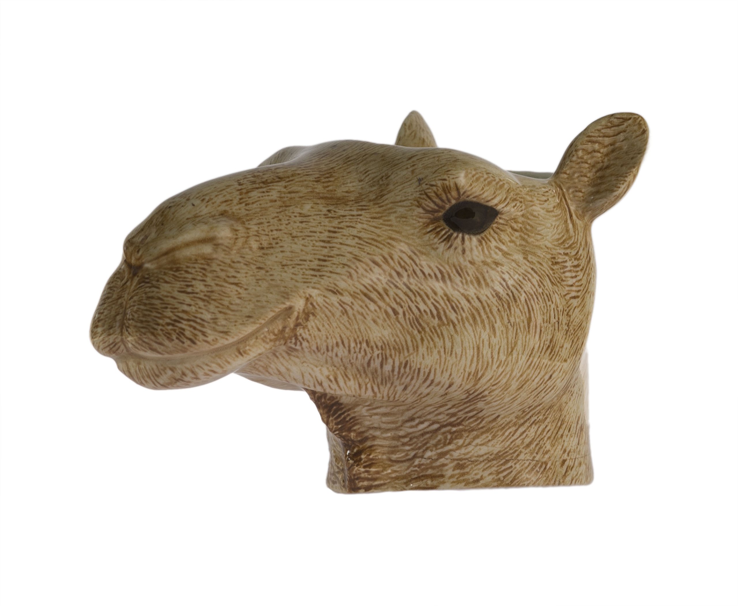 Quail Ceramics Camel visage Coquetier