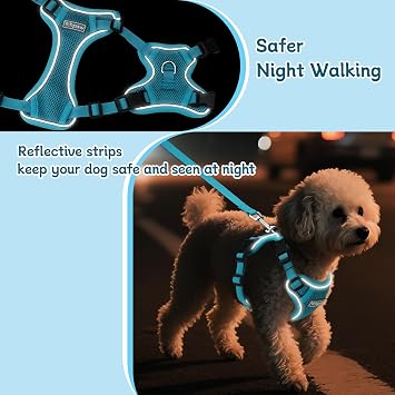 Small Dog Harness and Leash Set, Adjustable Small Sized Pet Vest