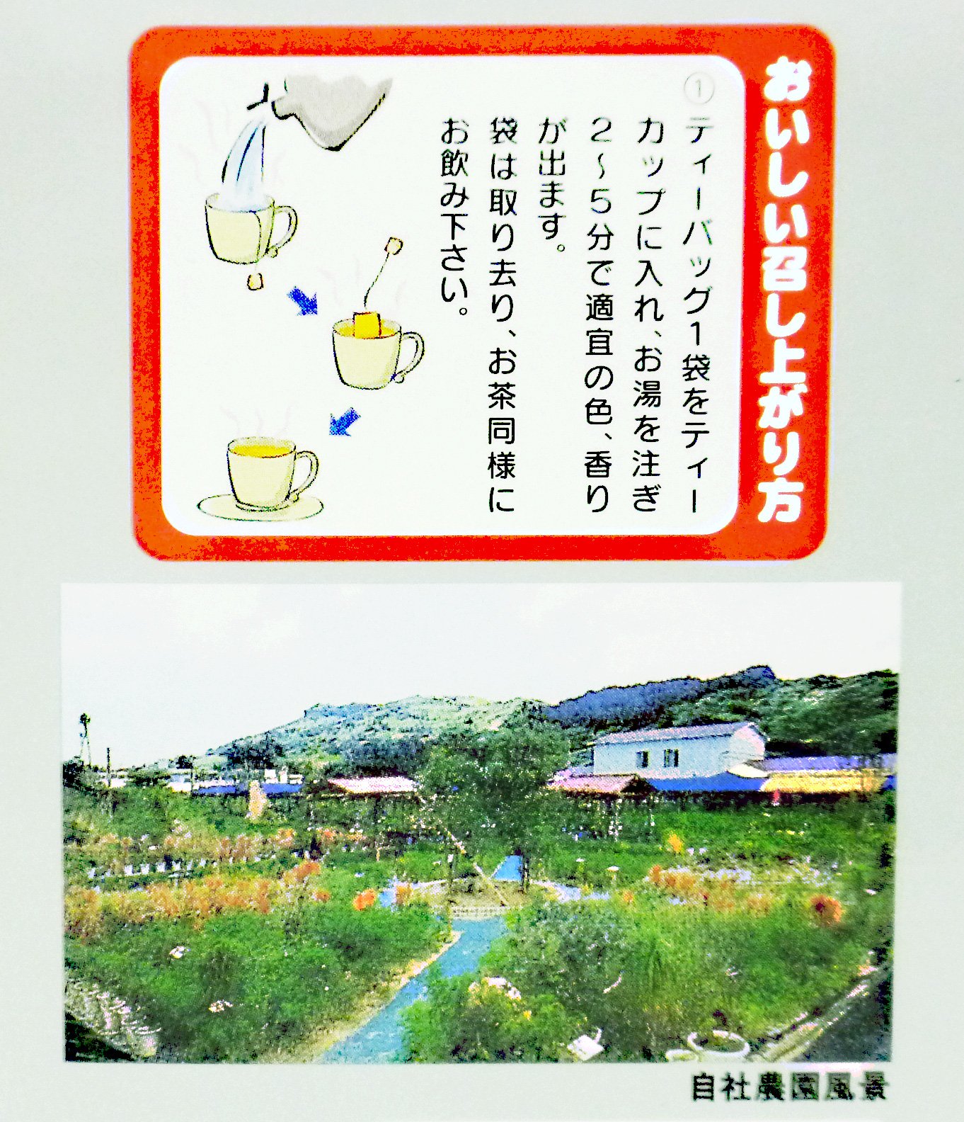 Amazon | 沖縄長生薬草本社 福寿来A (2g×30包) | 沖縄長生薬草本社