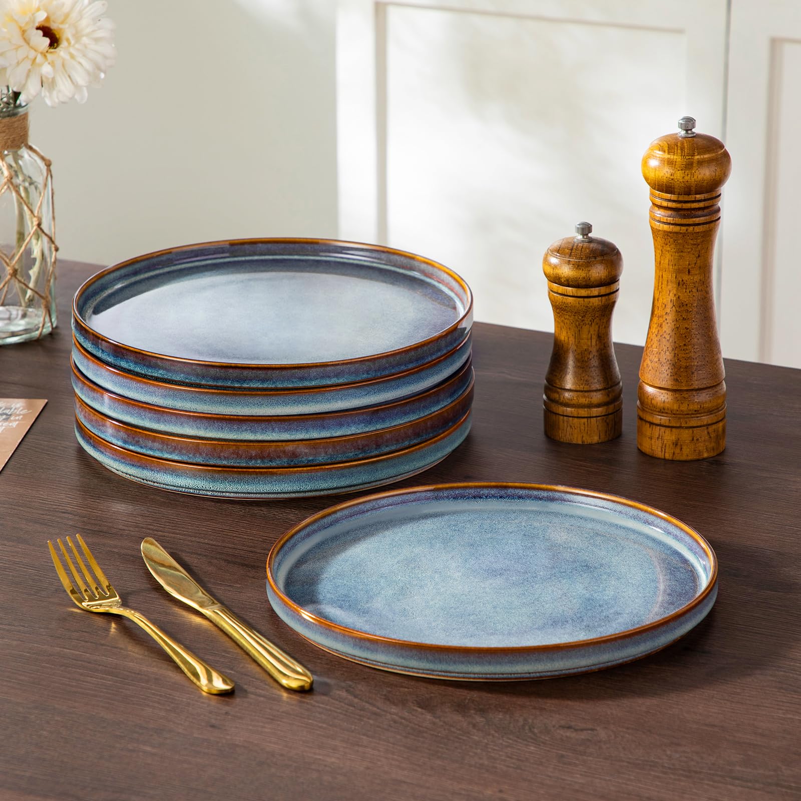 vancasso ONION Set de 6 Platos Llanos, Platos de Ensalada de 25,4 cm de Gres, Juego de Platos de Cena para Cocina, Apto para Lavavajillas y Microondas, Esmalte Reactivo Gris Azul