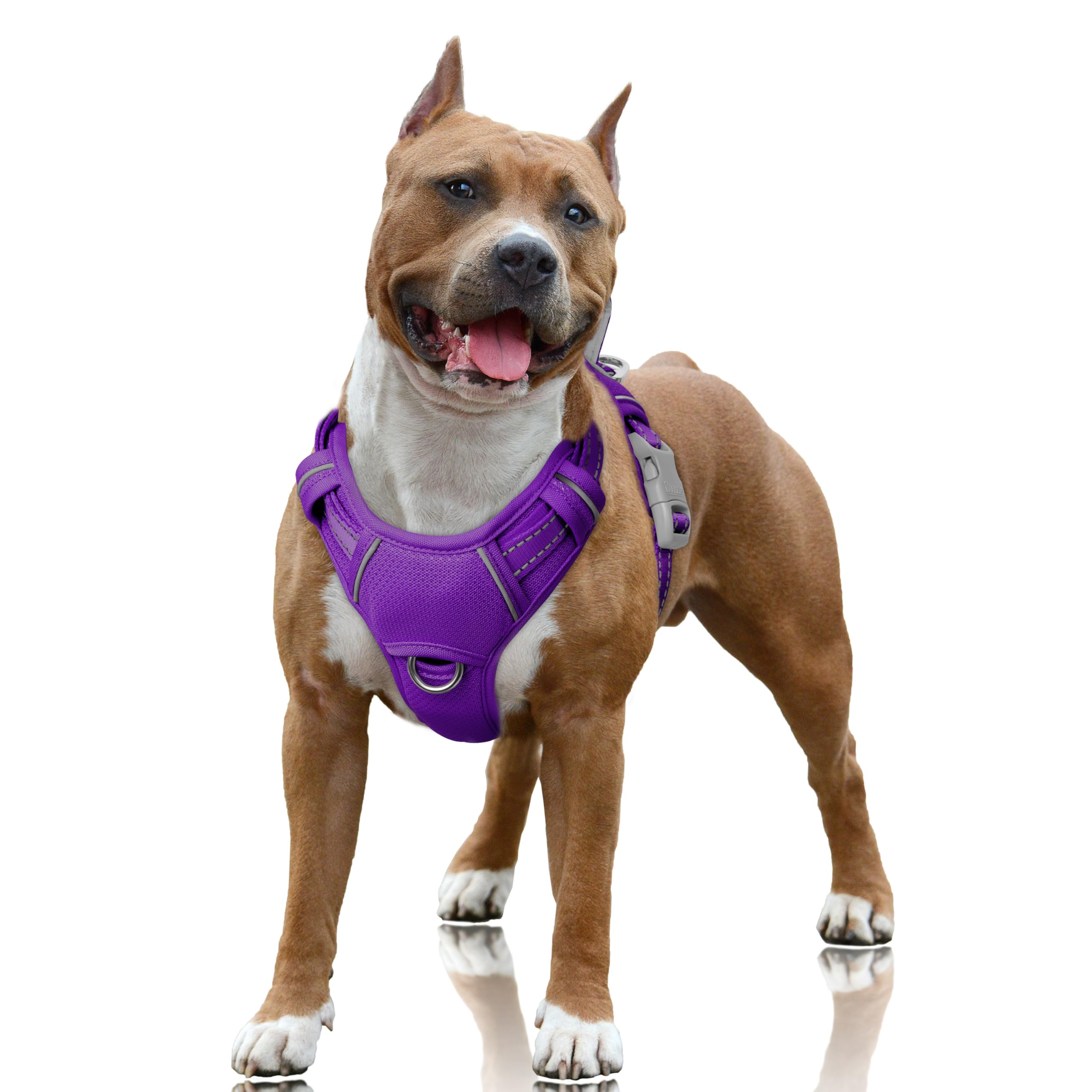BARKBAY No Pull Dog Harness Large Reflective Dog Harness with Front Clip and Easy Control Handle for Walking Training Running with ID tag Pocket(Purple,L)