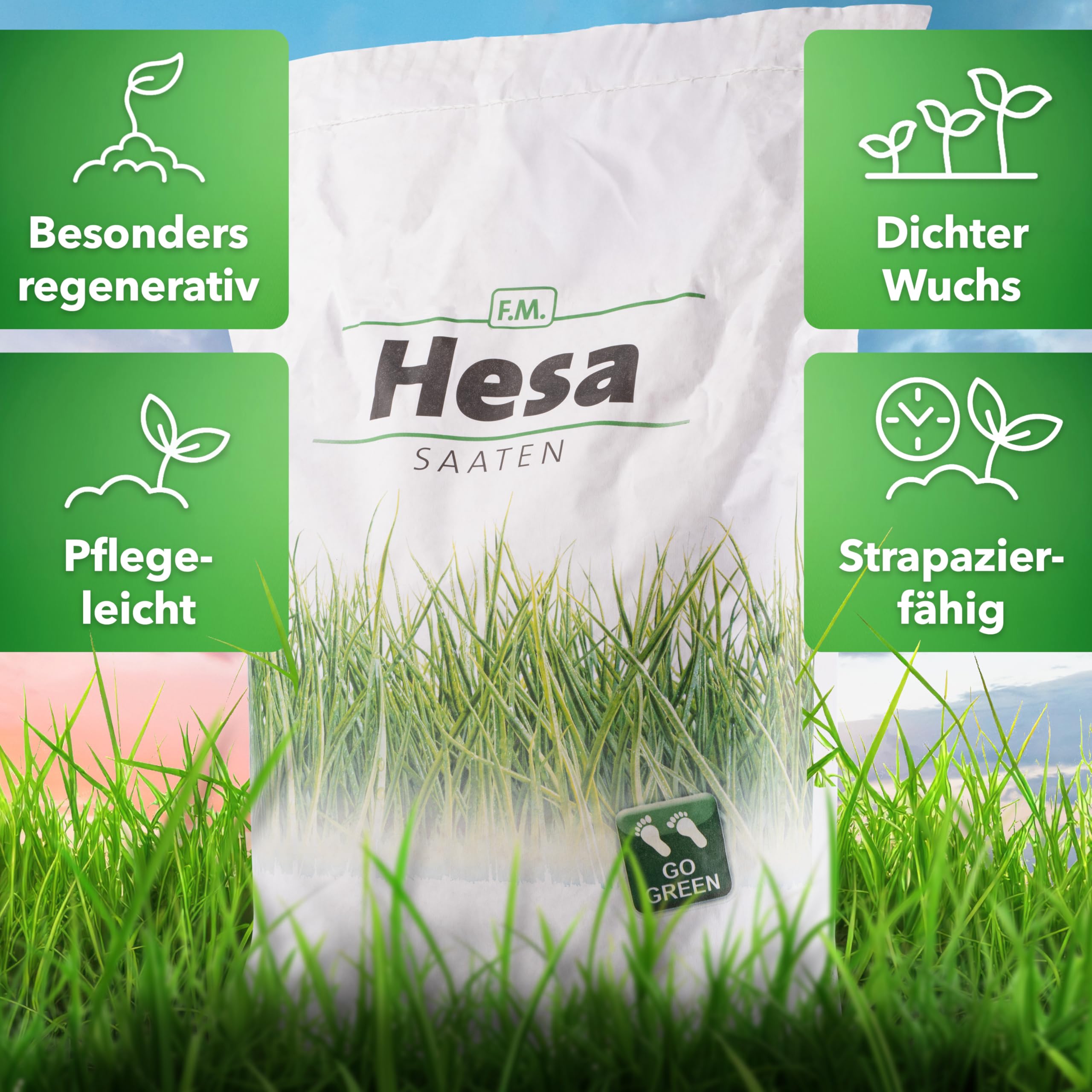 Hesa Césped de uso 10 kg para 400 m², RSM 2.3, césped deportivo y de juego, semillas de césped premium de germinación rápida, semillas de hierba resistentes y robustas en calidad profesional
