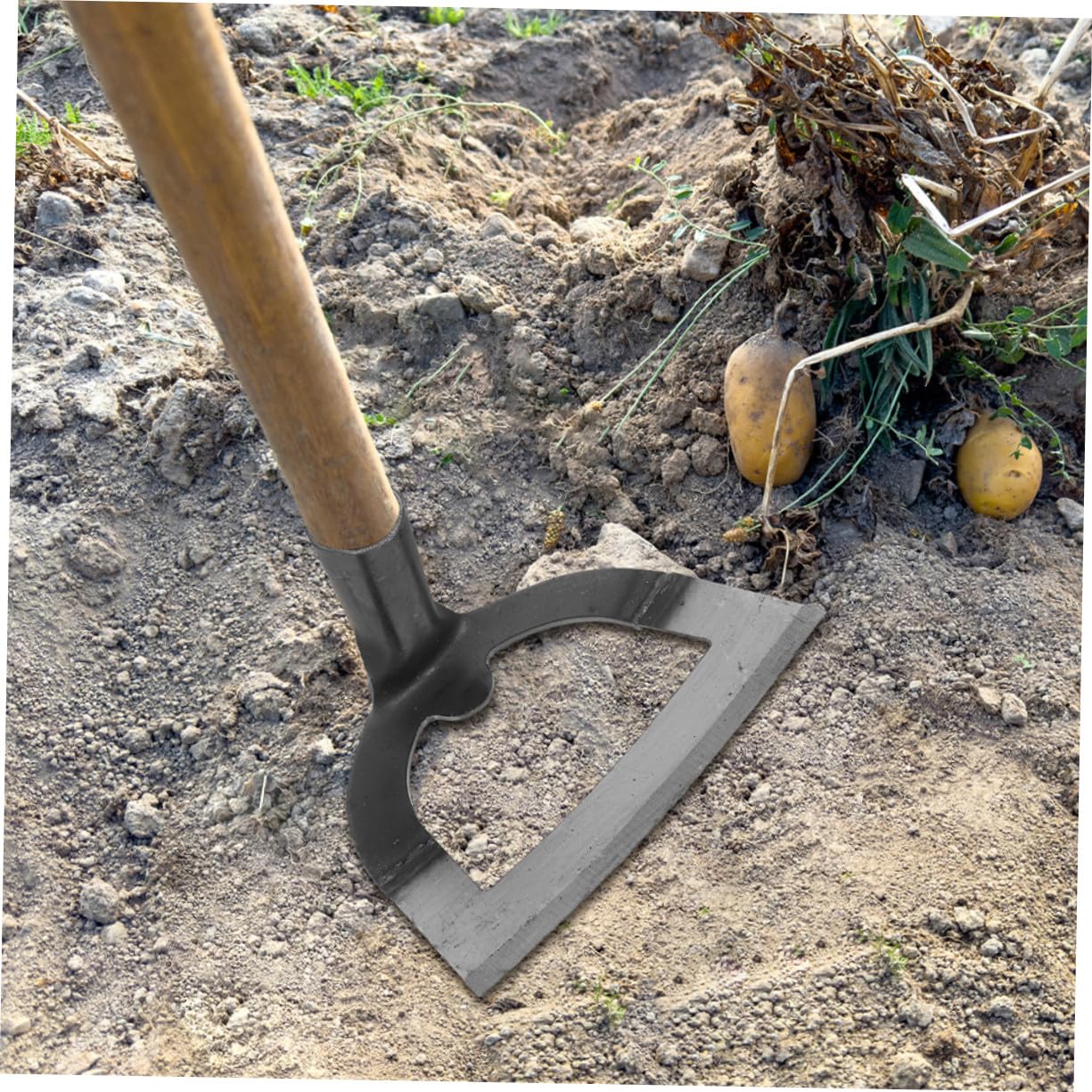 Toyvian 2piezas Azadas Huecas Para Jardinería Herramienta Agrícola Para Desherbar Cultivar y Preparar El Suelo Jardines Domésticos y Granjas Cabeza De Azada De Acero