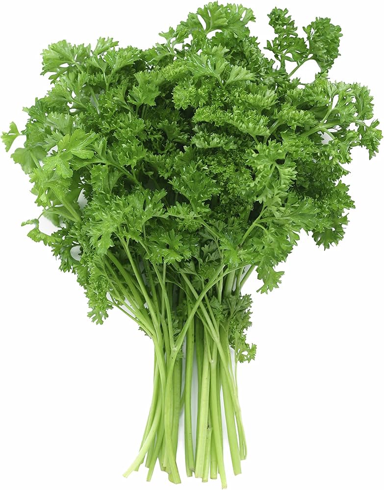 Parsley
