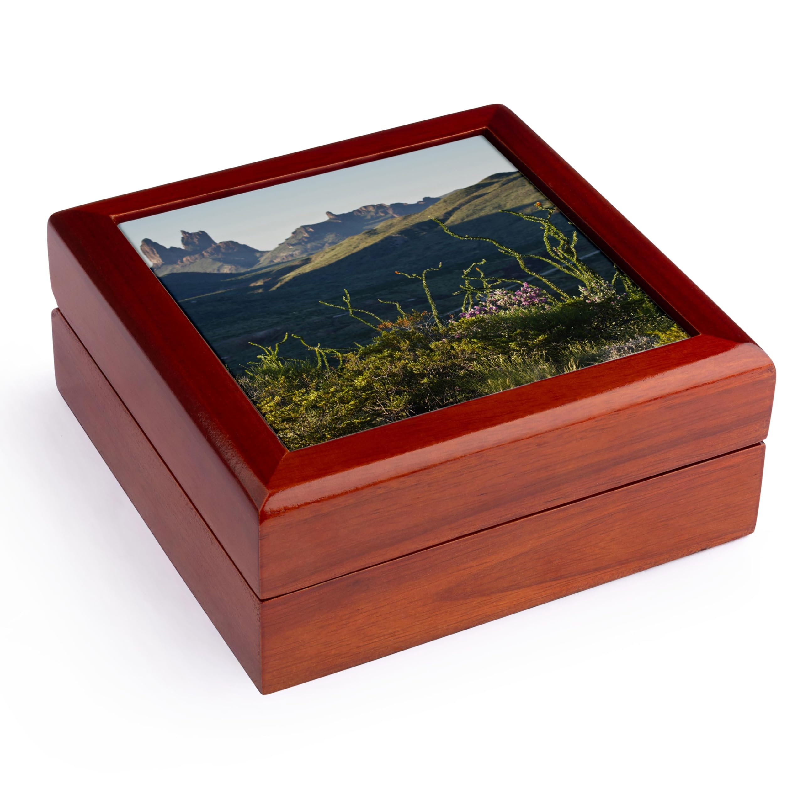 3dRose Mule Ears, Big Bend National Park, Texas, USA - US44 LDI0674 - Larry Ditto, Jewelry Box jb-146802-1