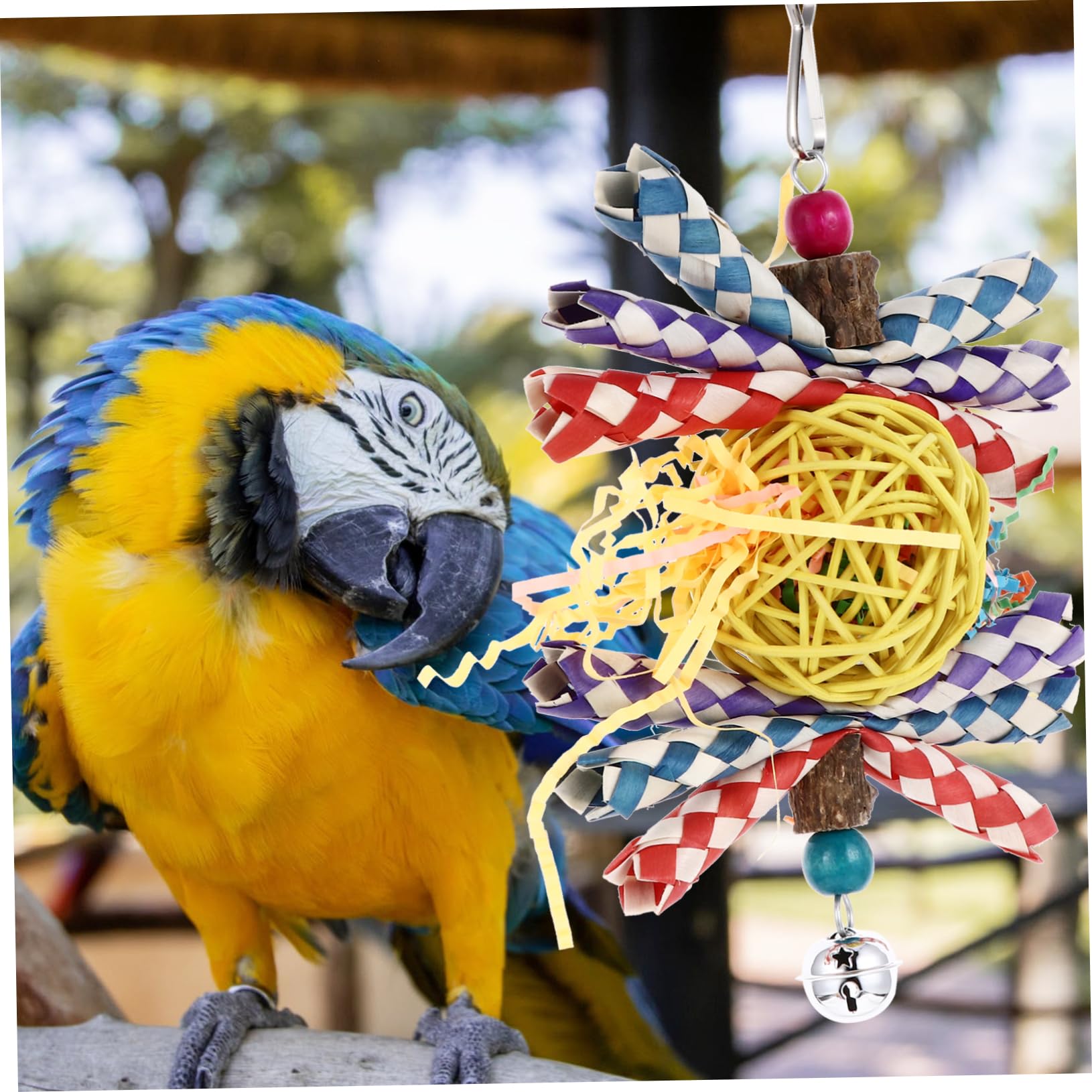 YARNOW 3 Pz giocattolo pappagallo accessori per uccelli giocattolo per animali domestici giochi per pappagalli giochi pappagalli giocattoli mordace mordere il morso