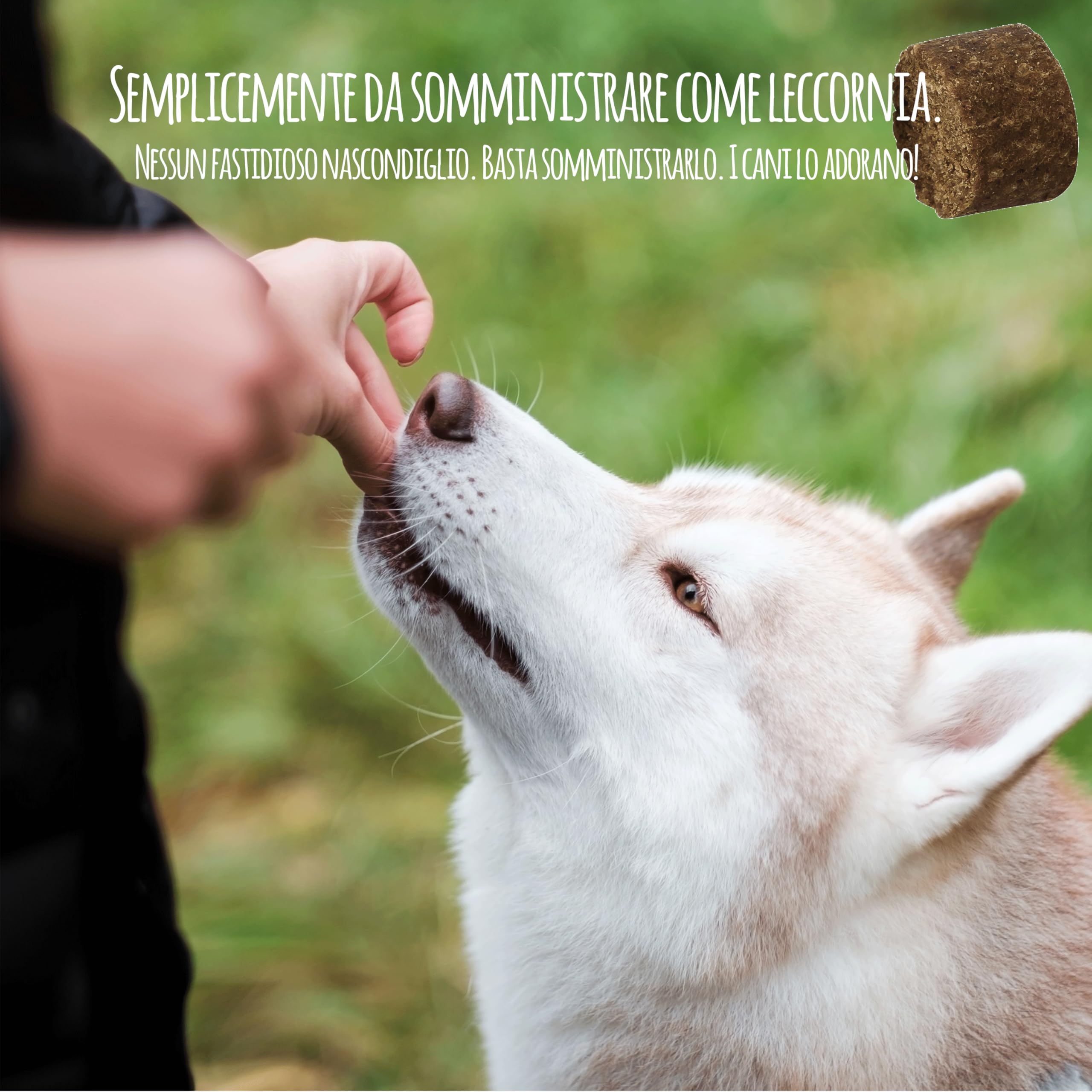 Calmante per Cane I Calmanti per Cani Paurosi per Rilassare, Contro la Paura, Anti Stress e per Calma - Sedativo Naturale per Cane Pauroso - con Valeriana