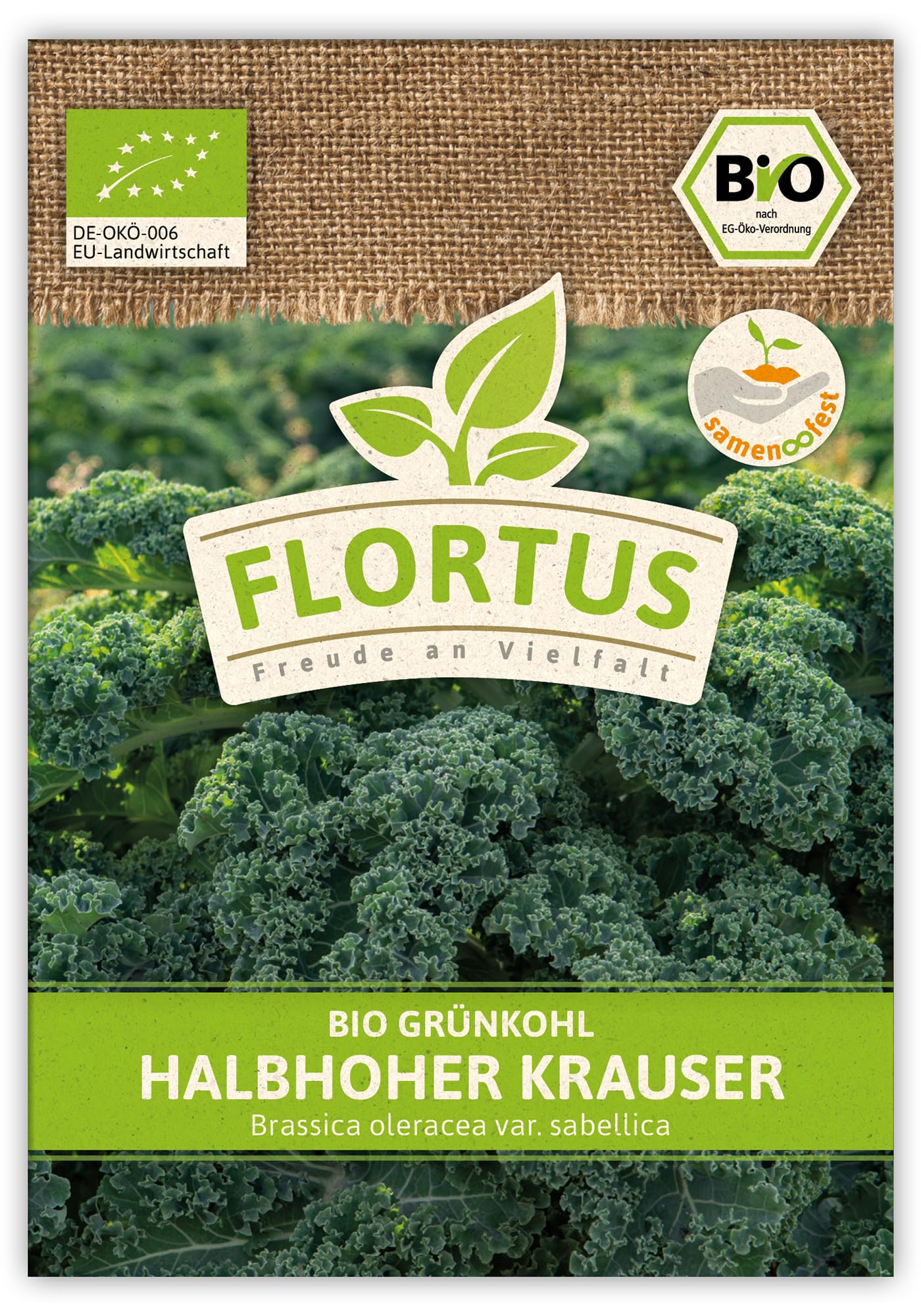 FLORTUS 2000-0522-100x Grünkohl Halbhoher Krauser (100 Stück) (BIO Kohlsamen)