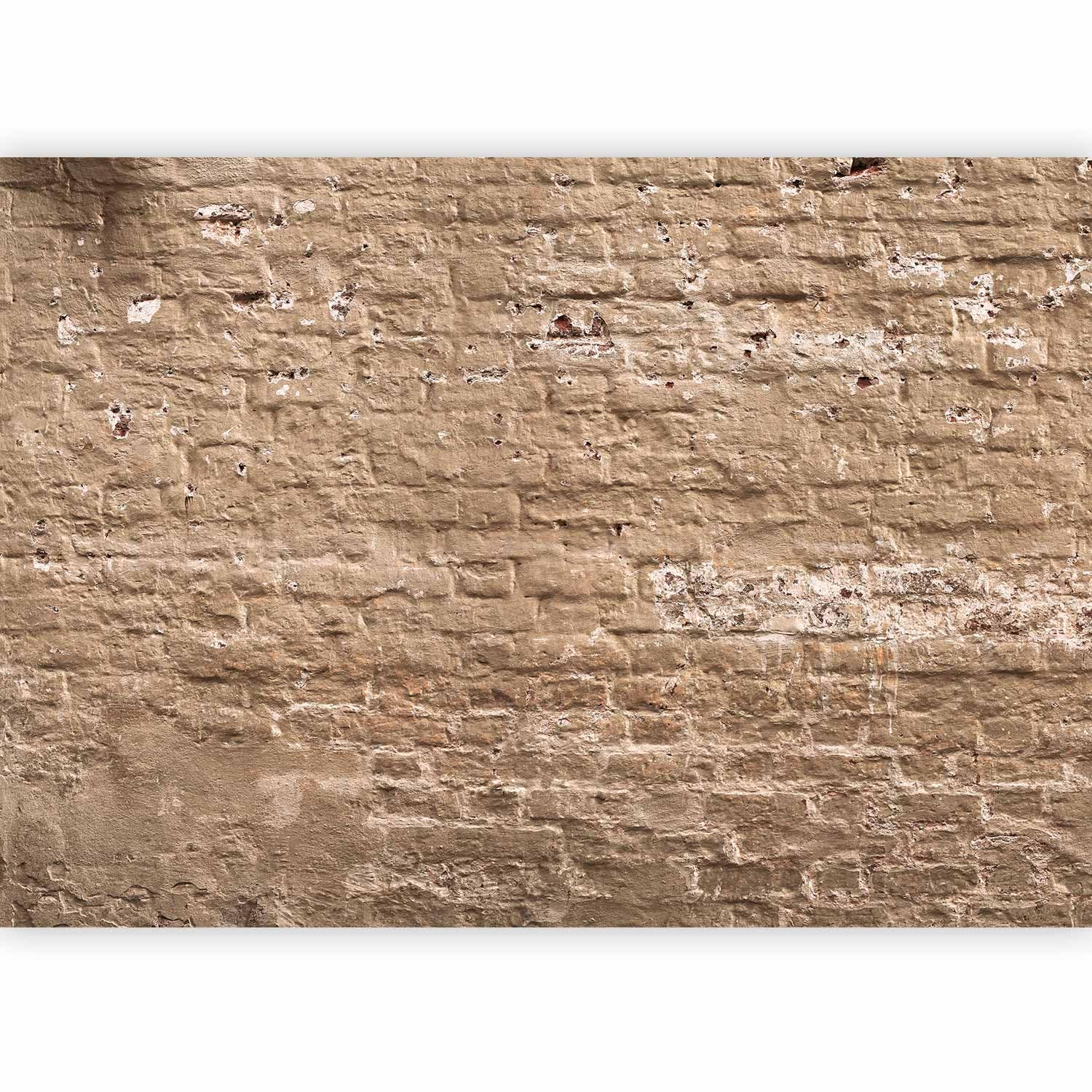 murando Fotomurales 400x280 cm Papel pintado tejido no tejido Decoración de Pared decorativos Murales moderna Diseno Fotográfico Ladrillo f-A-0507-a-c